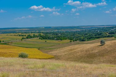 Moldova kırsalında güneşli bir günde