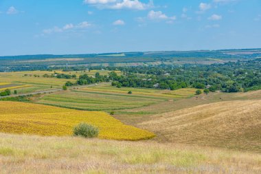 Moldova kırsalında güneşli bir günde