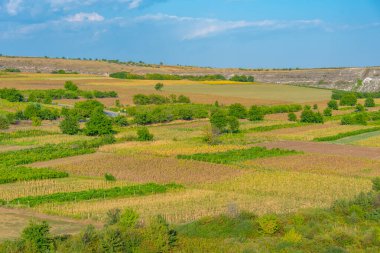 Moldova kırsalında güneşli bir günde