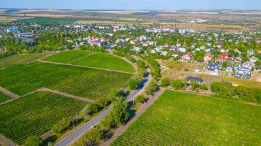 Moldova 'daki Cricova üzüm bağının panorama manzarası