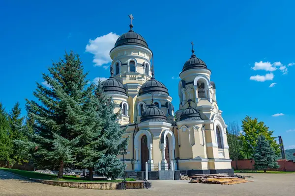 Літній День Монастирі Капріана Молдові Стокове Зображення