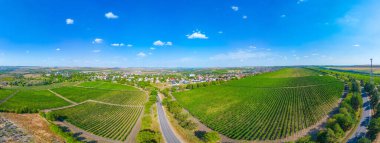 Moldova 'daki Cricova üzüm bağının panorama manzarası