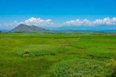 Karadağ 'daki Skadar gölünün Panorama manzarası