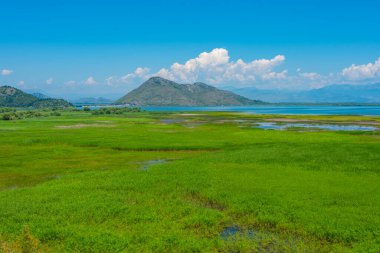Karadağ 'daki Skadar gölünün Panorama manzarası