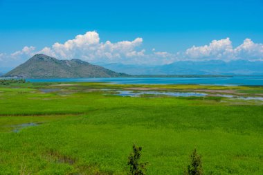 Karadağ 'daki Skadar gölünün Panorama manzarası