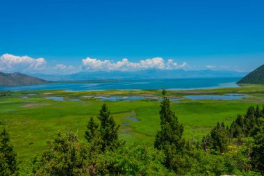 Karadağ 'daki Skadar gölünün Panorama manzarası