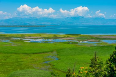 Karadağ 'daki Skadar gölünün Panorama manzarası