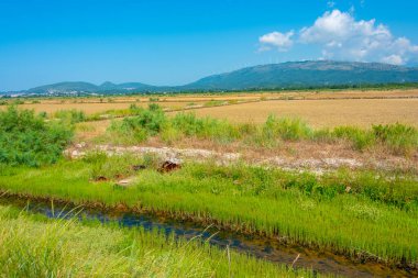 Montgro 'daki Ulcinj Salines' te yaz günü.
