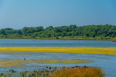 Montgro 'daki Ulcinj Salines' te yaz günü.