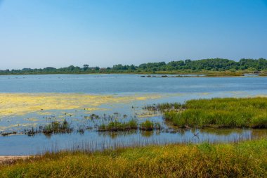 Montgro 'daki Ulcinj Salines' te yaz günü.