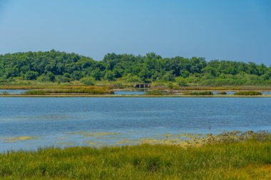 Montgro 'daki Ulcinj Salines' te yaz günü.