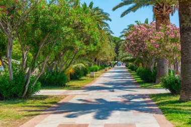 Karadağ 'ın Bar kentindeki Adriyatik Denizi' nin yanındaki yeşil sokak