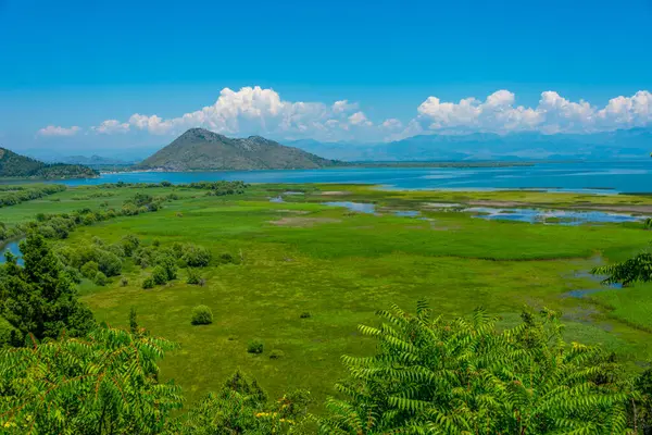 Karadağ 'daki Skadar gölünün Panorama manzarası