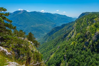 Grlo Sokolovo 'nun Karadağ ile Arnavutluk arasındaki sınırla ilgili görüşü