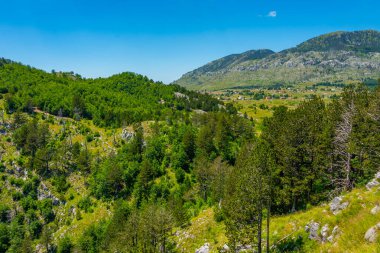 Grlo Sokolovo 'nun Karadağ ile Arnavutluk arasındaki sınırla ilgili görüşü