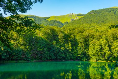 Biogradska Gora national park in Montenegro clipart