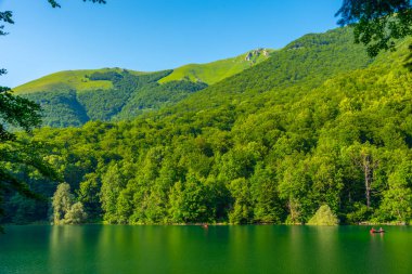 Karadağ 'daki Biogradska Gora ulusal parkı