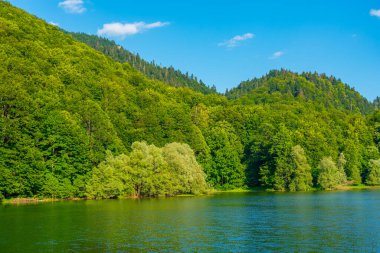 Karadağ 'daki Biogradska Gora ulusal parkı