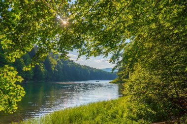 Karadağ 'daki Biogradska Gora ulusal parkı