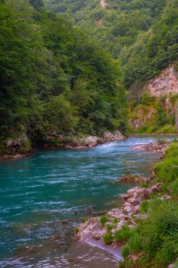 Karadağ 'daki Tara Nehri vadisinde gün batımı manzarası
