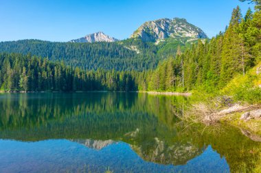 Crno Jezero namı diğer Kara Göl Karadağ 'daki Durmitor Milli Parkı' nda