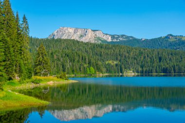 Crno Jezero namı diğer Kara Göl Karadağ 'daki Durmitor Milli Parkı' nda