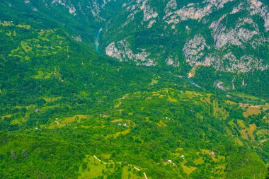 Tara Nehri Vadisi Karadağ 'daki Durmitor Milli Parkı' ndan izlendi