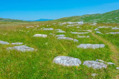 Stecci - Karadağ 'daki Durmitor ulusal parkında tarihi bir mezarlık