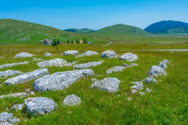 Stecci - Karadağ 'daki Durmitor ulusal parkında tarihi bir mezarlık