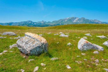 Stecci - Karadağ 'daki Durmitor ulusal parkında tarihi bir mezarlık