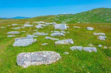 Stecci - Karadağ 'daki Durmitor ulusal parkında tarihi bir mezarlık