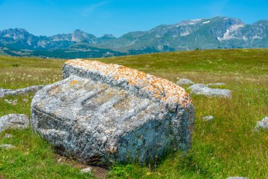 Stecci - Karadağ 'daki Durmitor ulusal parkında tarihi bir mezarlık