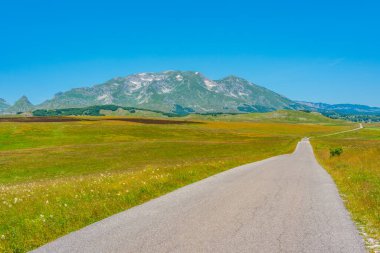 Karadağ 'ın Durmitor ulusal parkının zirveleri bir çayırın arkasında görülüyor