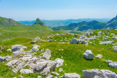 Karadağ 'ın Durmitor ulusal parkının zirveleri bir çayırın arkasında görülüyor