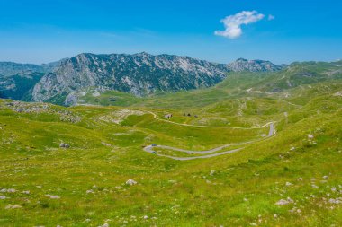 Karadağ 'ın Durmitor ulusal parkının zirveleri bir çayırın arkasında görülüyor