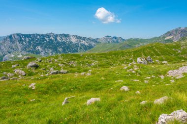 Karadağ 'ın Durmitor ulusal parkının zirveleri bir çayırın arkasında görülüyor