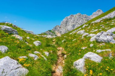 Karadağ 'ın Bobotuv Kuk dağının hakim olduğu Durmitor Milli Parkı Panoraması