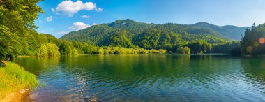 Karadağ 'daki Biogradska Gora ulusal parkı