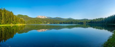 Crno Jezero namı diğer Kara Göl Karadağ 'daki Durmitor Milli Parkı' nda