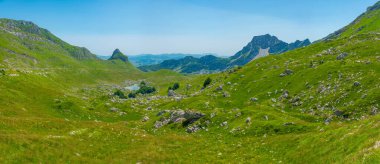 Karadağ 'ın Durmitor ulusal parkının zirveleri bir çayırın arkasında görülüyor