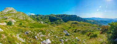 Karadağ 'ın Durmitor ulusal parkının zirveleri bir çayırın arkasında görülüyor