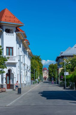 Romanya 'daki Targu Jiu' da Calea Eroilor Caddesi