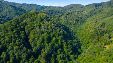 Romanya 'daki Orastie dağlarında güneşli bir gün
