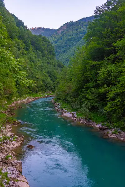 Karadağ 'daki Tara Nehri vadisinde gün batımı manzarası