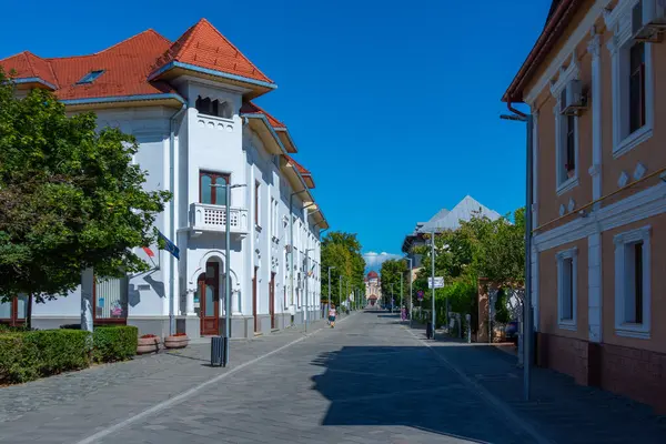 Romanya 'daki Targu Jiu' da Calea Eroilor Caddesi