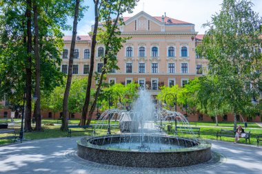 Romanya 'nın Oradea kentindeki Tarii Crisurilor Müzesi