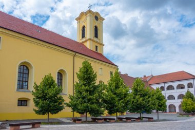 Romanya 'daki Oradea kalesinin avlusu