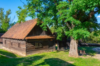 Romanya 'nın Cluj-Napoca kentinde Romulus Vuia Etnografi Parkı