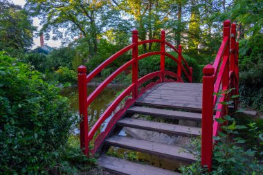 Rumen Cluj-Napoca kentindeki Alexandru Borza Botanik Bahçesi