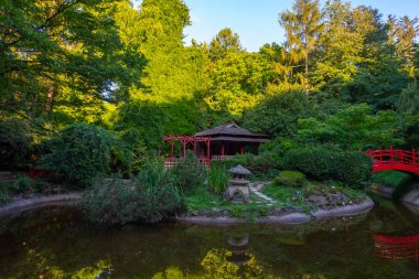 Rumen Cluj-Napoca kentindeki Alexandru Borza Botanik Bahçesi